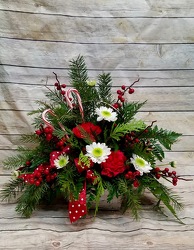 Candy Cane Lane from Wren's Florist in Bellefontaine, Ohio
