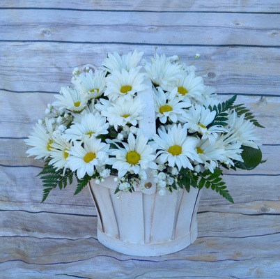 Cheerful Daisies from Wren's Florist in Bellefontaine, Ohio