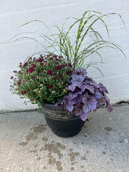 Fall Outdoor Combo Pot from Wren's Florist in Bellefontaine, Ohio