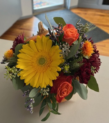 Hey Pumpkin! from Wren's Florist in Bellefontaine, Ohio
