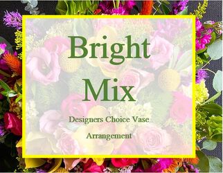 Bright Mixed Designers Choice from Wren's Florist in Bellefontaine, Ohio