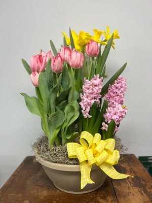 Spring Bulb Garden from Wren's Florist in Bellefontaine, Ohio