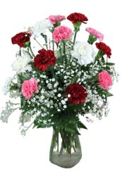 Dozen Reasons from Wren's Florist in Bellefontaine, Ohio