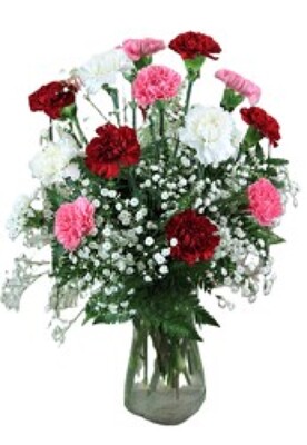 Dozen Reasons from Wren's Florist in Bellefontaine, Ohio