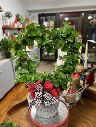 I Heart You  from Wren's Florist in Bellefontaine, Ohio