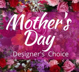 Mother's Day Designers Choice from Wren's Florist in Bellefontaine, Ohio