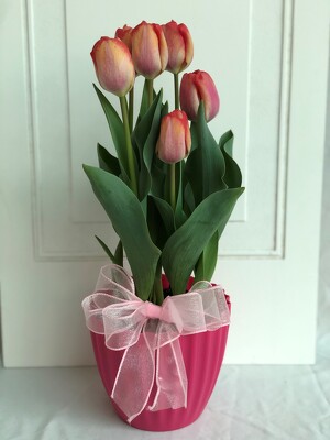 Tulips from Wren's Florist in Bellefontaine, Ohio